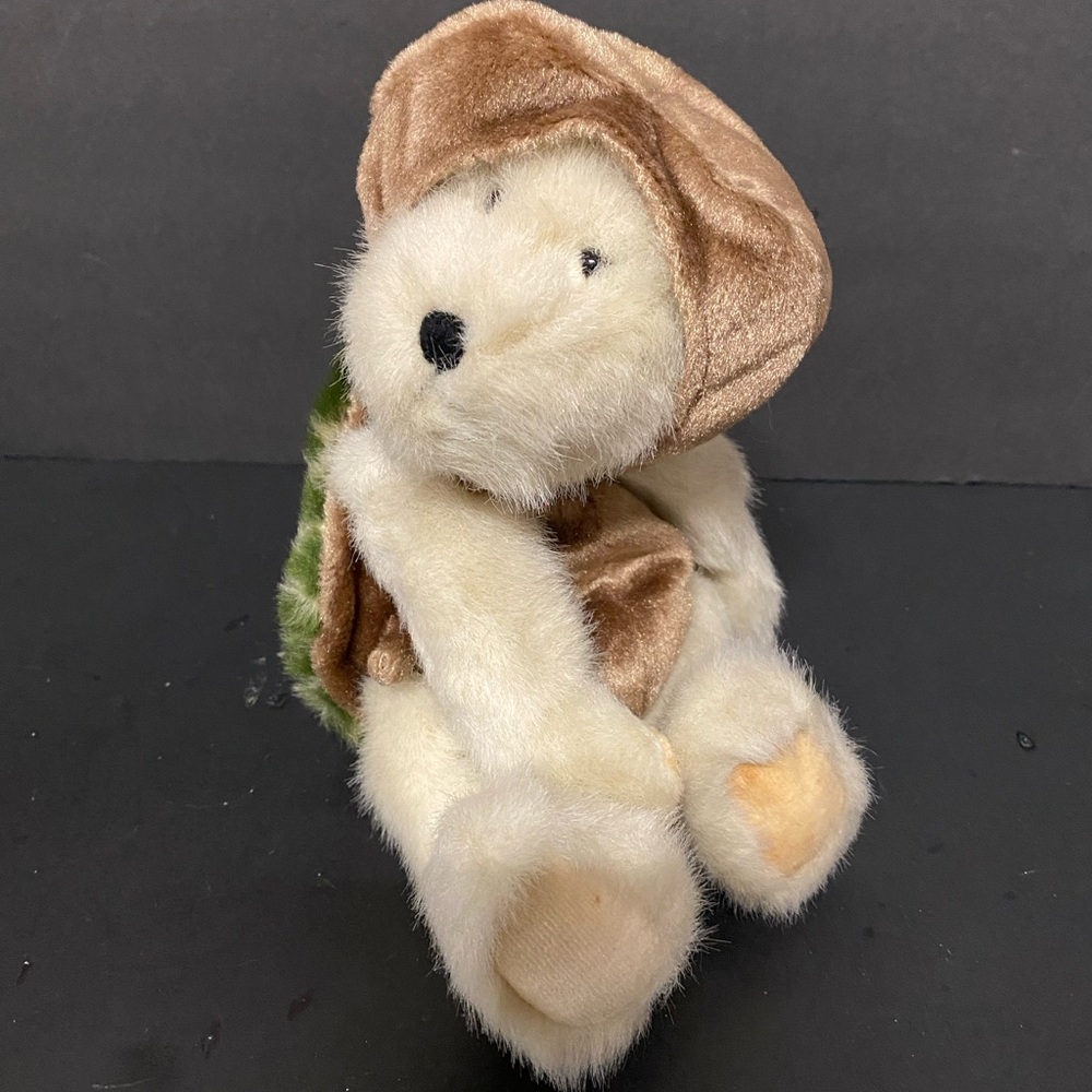 Vintage BOYDS BEAR With Turtle Costume on. Named “ Pokie”